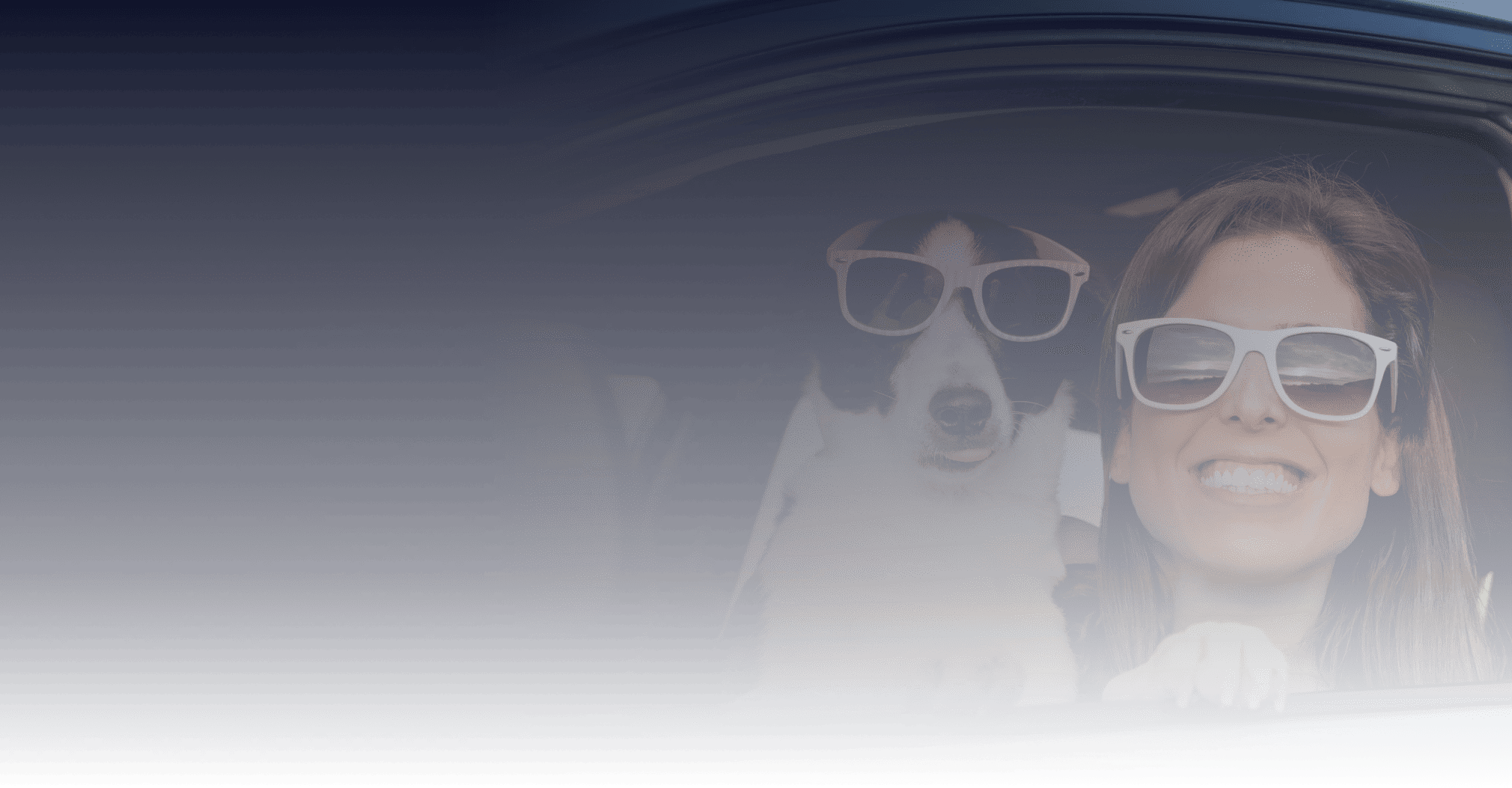 Dog and passenger wearing sunglasses in a car window