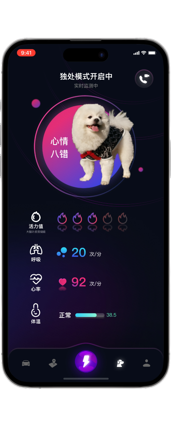Check pet status screen