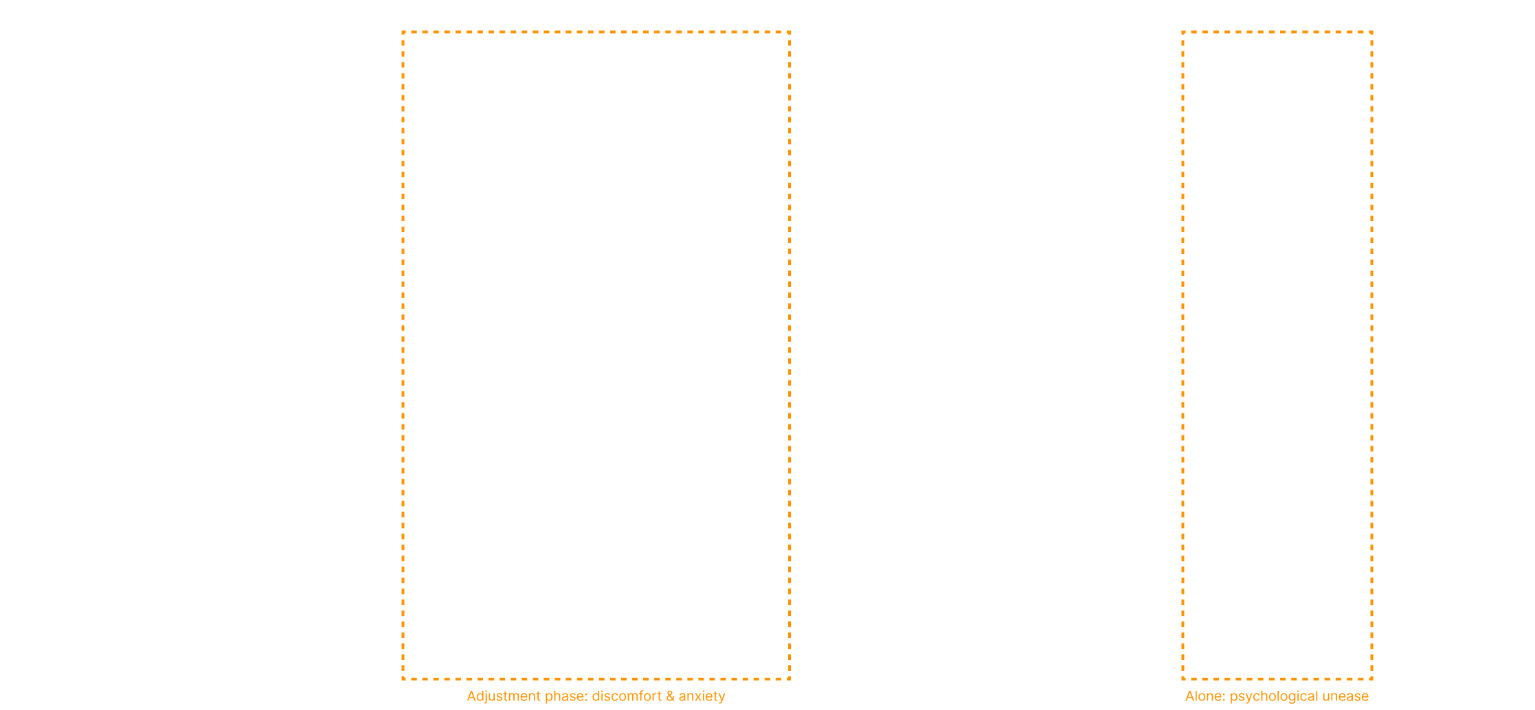 Journey map summary version