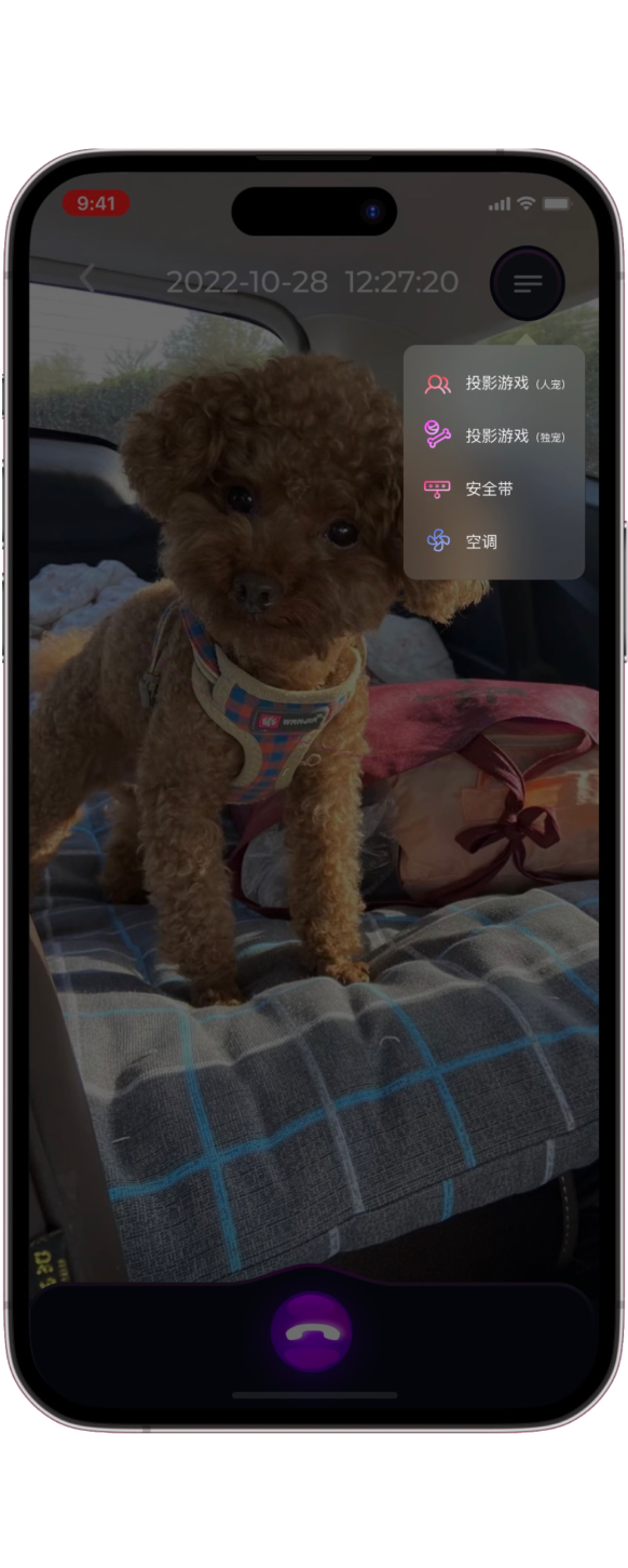 Video call page screen in English