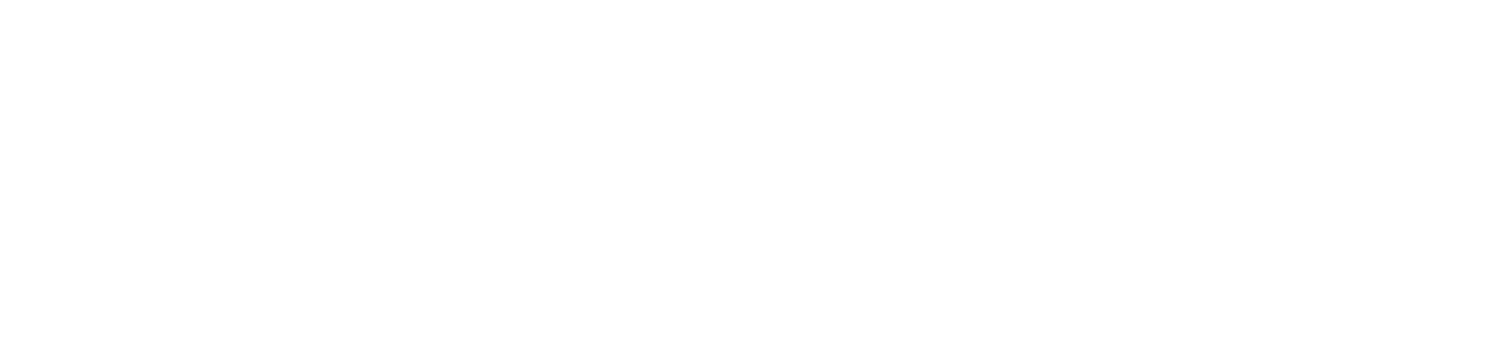 POLISH FOR LEATHER